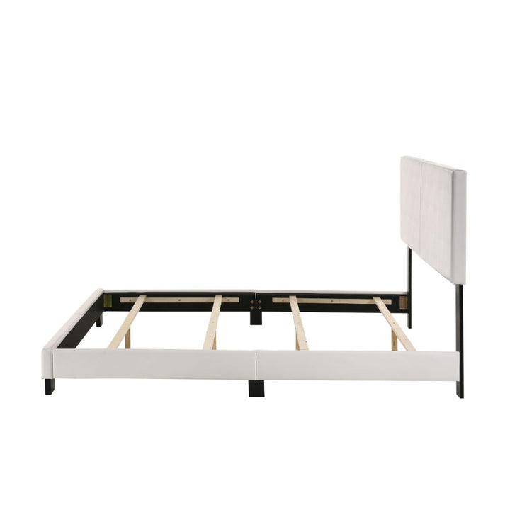 ACME Lien White PU Queen Bed Model 25710Q - MONAVILLA