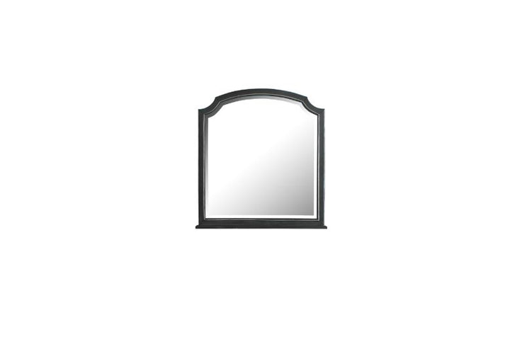 ACME House Beatrice Charcoal Finish Mirror Model 28814 - MONAVILLA