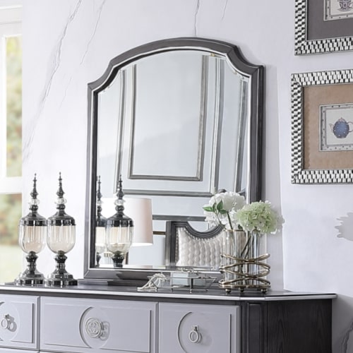 ACME House Beatrice Charcoal Finish Mirror Model 28814 - MONAVILLA