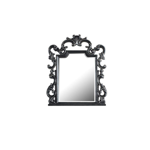 ACME House Delphine Charcoal Finish Mirror Model 28834 - MONAVILLA