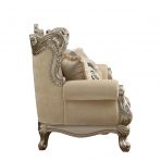 ACME Ranita Fabric & Champagne Sofa Model 51040 - MONAVILLA