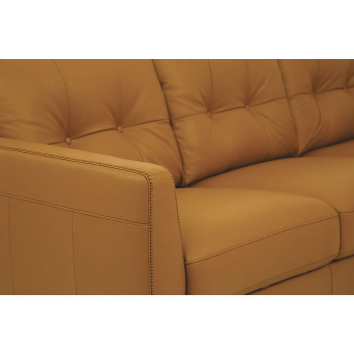 ACME Radwan Camel Leather Sofa Model 54955 - MONAVILLA