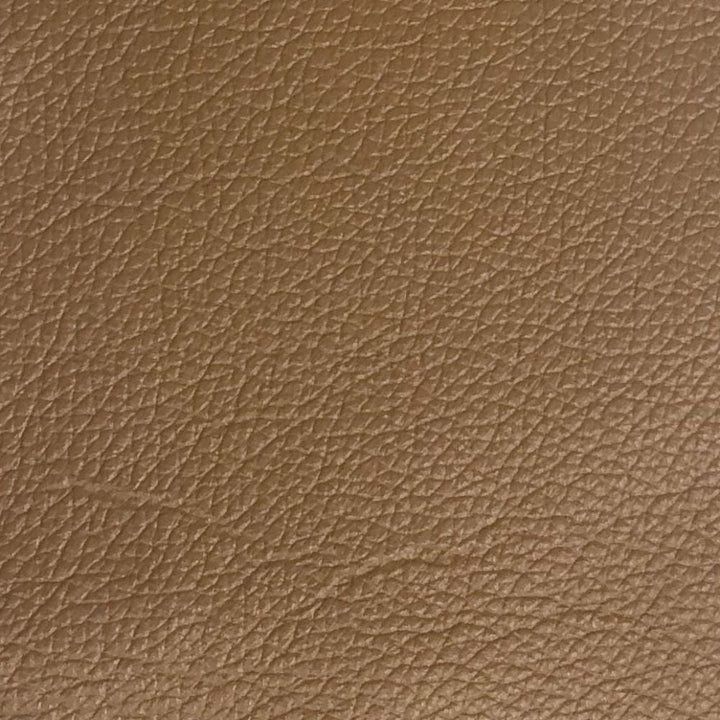 ACME Radwan Camel Leather Sofa Model 54955 - MONAVILLA