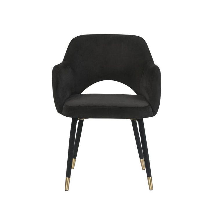 ACME Applewood Black Velvet & Gold Accent Chair Model 59854 - MONAVILLA