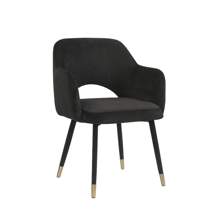 ACME Applewood Black Velvet & Gold Accent Chair Model 59854 - MONAVILLA