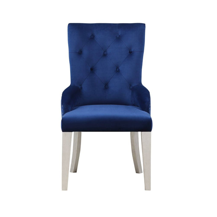 ACME Varian Blue Fabric & Antique Platinum Side Chair Model 66162 - MONAVILLA