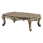 ACME Ranita Marble & Champagne Coffee Table Model 81040 - MONAVILLA