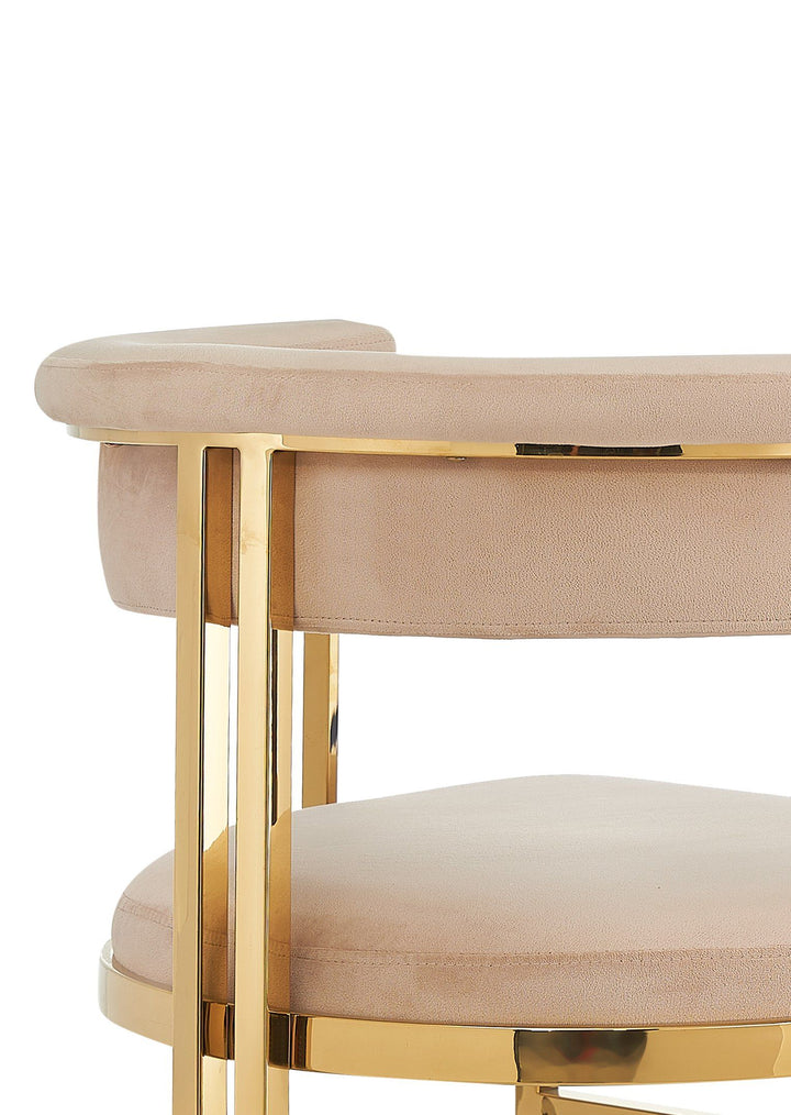 Modrest Munith Modern Beige Velvet Gold Dining Chair - MONAVILLA