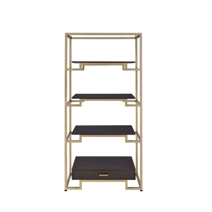 ACME Yumia Gold & Clear Glass Bookshelf Model 92787 - MONAVILLA