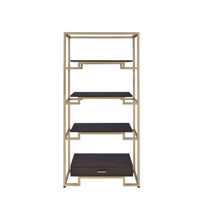 ACME Yumia Gold & Clear Glass Bookshelf Model 92787 - MONAVILLA