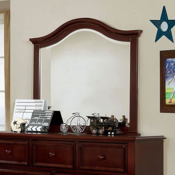 Furniture Of America Olivia Dark Walnut Traditional Mirror, Dark Walnut Model CM7155EX-M - MONAVILLA