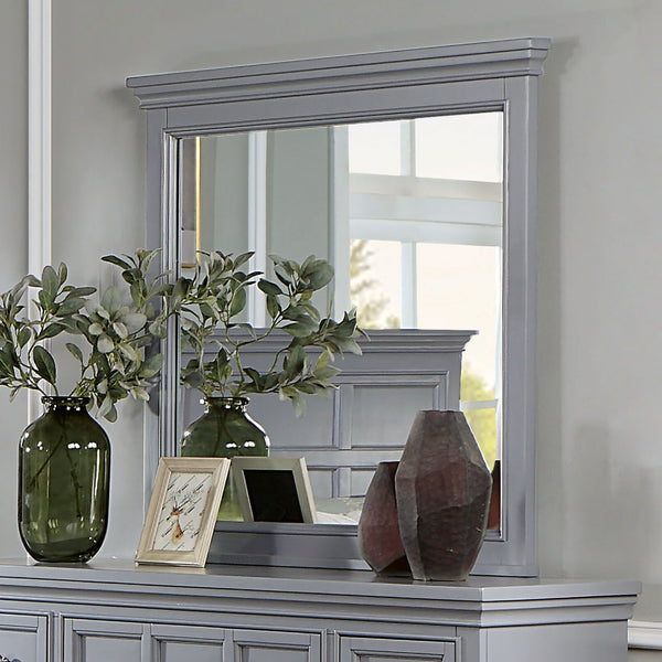 Furniture Of America Castlile Gray Transitional Mirror, Gray Model CM7413GY-M - MONAVILLA