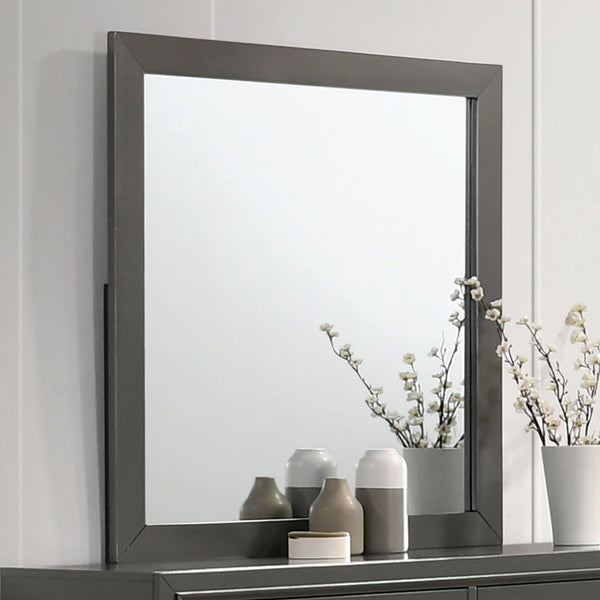 Furniture Of America Alison Dark Walnut Contemporary Mirror, Dark Walnut Model CM7416GY-M - MONAVILLA