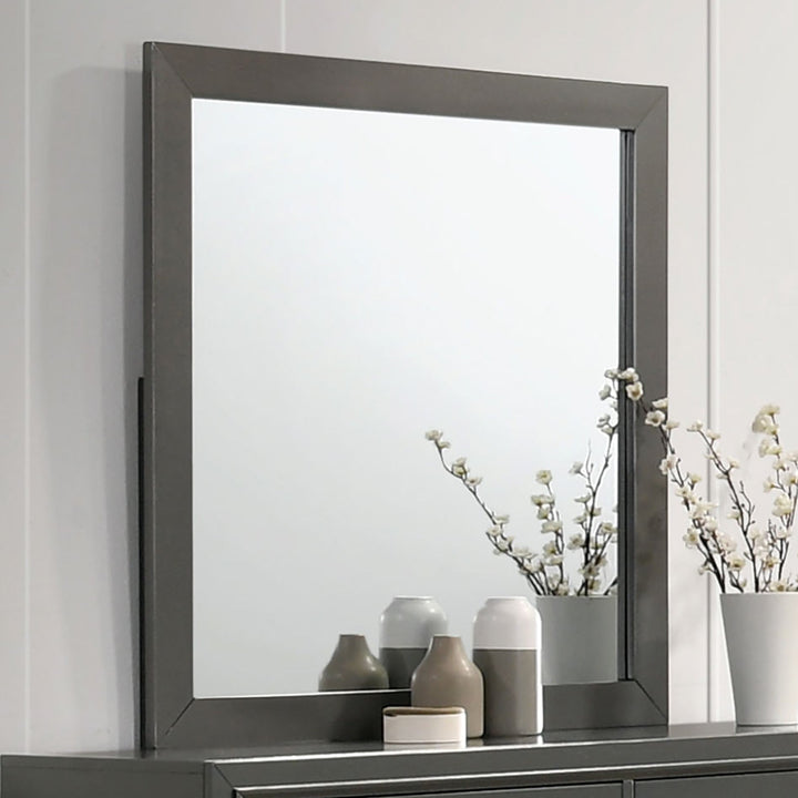 Furniture Of America Alison Dark Walnut Contemporary Mirror, Dark Walnut Model CM7416GY-M - MONAVILLA