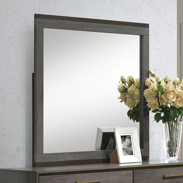 Furniture Of America Manvel Two-Tone Antique Gray Contemporary Mirror Model CM7867M - MONAVILLA