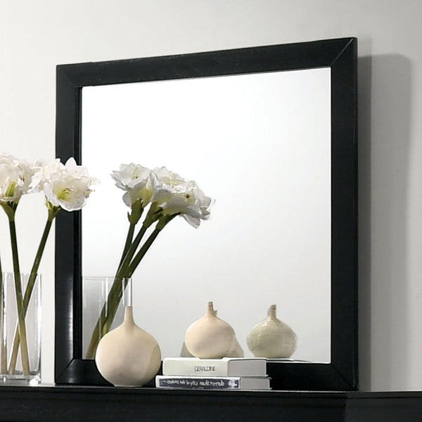 Furniture Of America Louis Philippe Black Transitional Mirror Model CM7966BK-M - MONAVILLA