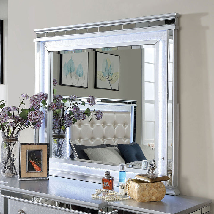 Furniture Of America Bellinzona Silver Contemporary Mirror Model CM7992M - MONAVILLA