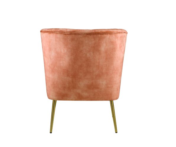 ACME Sambell Accent Chair Model AC00126 - MONAVILLA