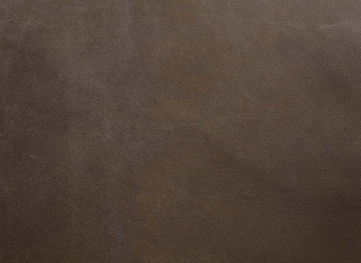 ACME Oralia Saturn Top Grain Leather Accent Chair Model AC01166 - MONAVILLA