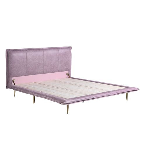 ACME Metis Pink Top Grain Leather Queen Bed Model BD00561Q - MONAVILLA