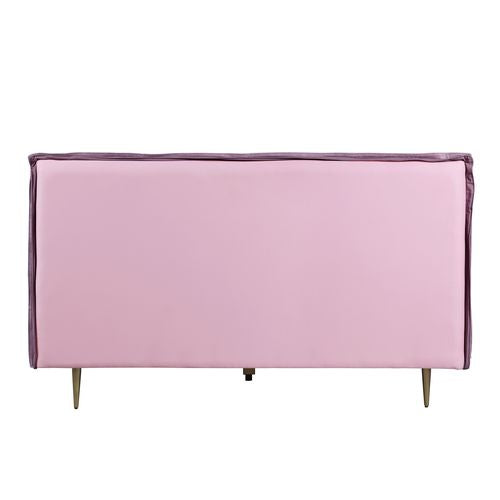 ACME Metis Pink Top Grain Leather Queen Bed Model BD00561Q - MONAVILLA