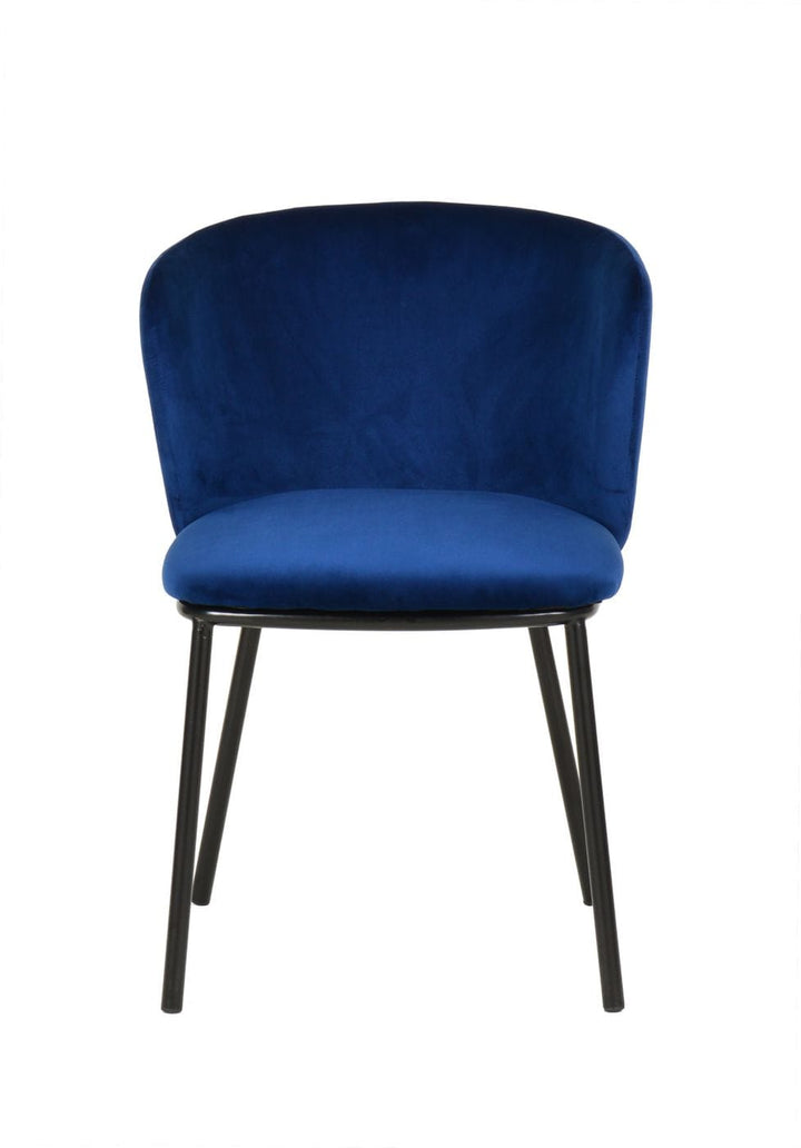 Modrest Bessie Modern Blue Velvet Dining Chair (Set of 2) - MONAVILLA
