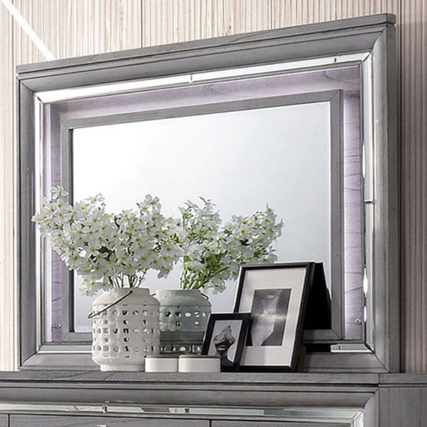 Furniture Of America Alanis Light Gray Contemporary Mirror Model CM7579M - MONAVILLA