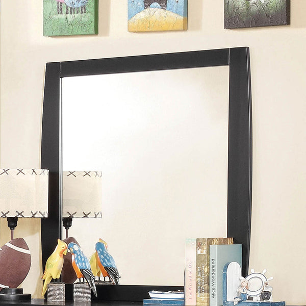 Furniture Of America Marlee Black Transitional Mirror Model CM7651BK-M-VN - MONAVILLA