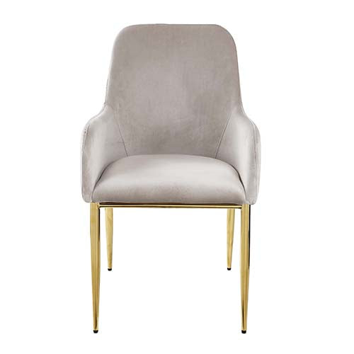 ACME Barnard Gray Velvet & Mirrored Gold Finish Side Chair Model DN00220 - MONAVILLA