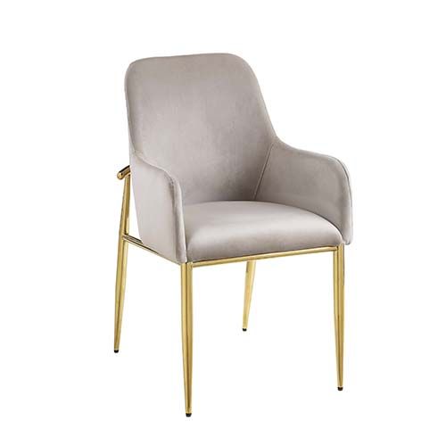 ACME Barnard Gray Velvet & Mirrored Gold Finish Side Chair Model DN00220 - MONAVILLA