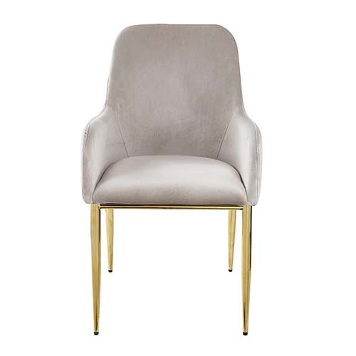ACME Barnard Gray Velvet & Mirrored Gold Finish Side Chair Model DN00220 - MONAVILLA