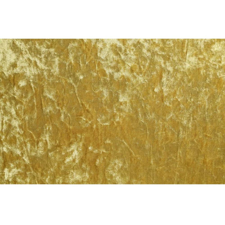 ACME Bernadette Pattern Fabric & Gold Finish Bernadette Arm Chair (Set-2) Model DN01472 - MONAVILLA