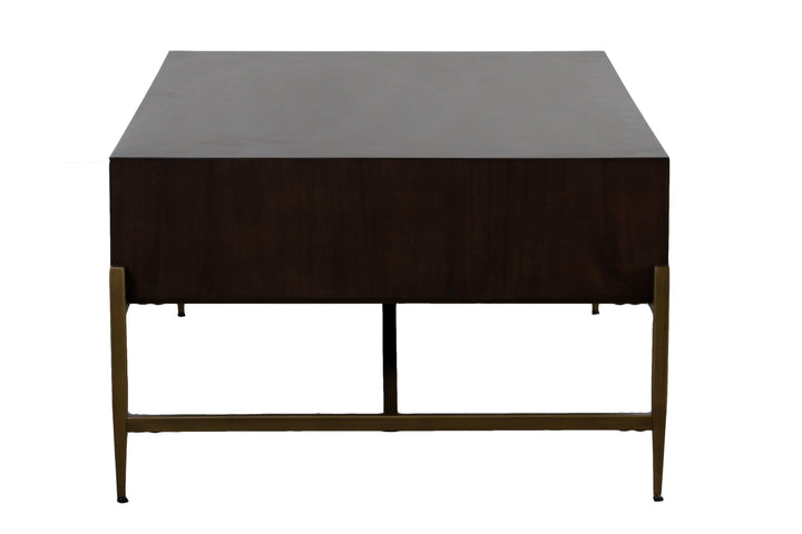 Modrest Shane Modern Acacia & Brass Coffee Table - MONAVILLA